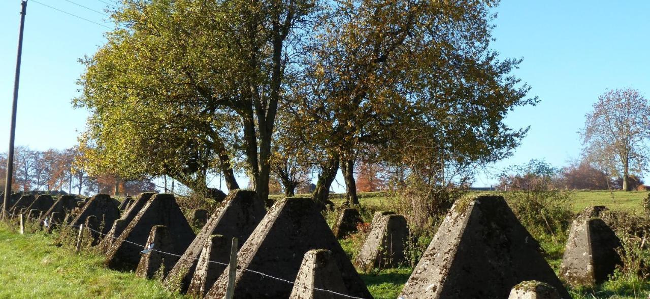 Fewo Eifel Eichen Nideggen Zewnętrze zdjęcie